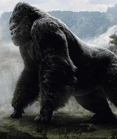Photo of King Kong