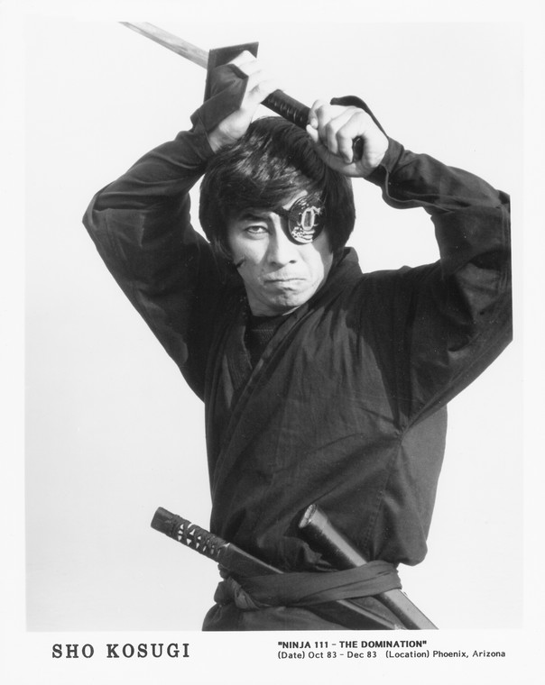 sho kosugi film biografie e liste su mubi