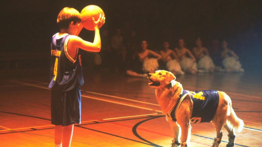 Air Bud World Pup 2000 MUBI