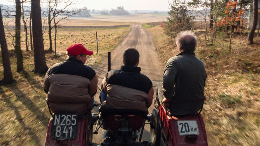 Homo sapiens (2016) MUBI