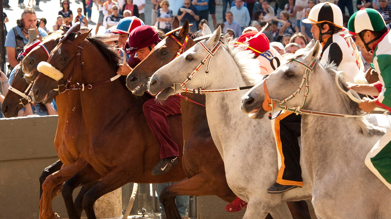 an analysis of the palio horse race in italys city siena an analysis of the palio horse race in italys city siena