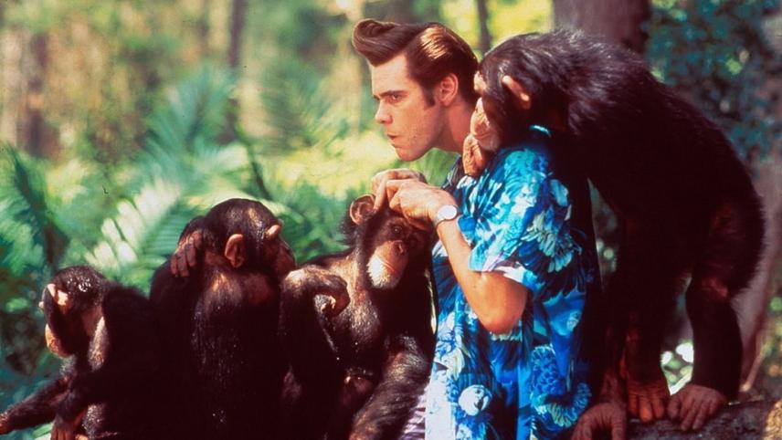 Ace Ventura Pet Detective Costume Ace Ventura Pet Detective Costume