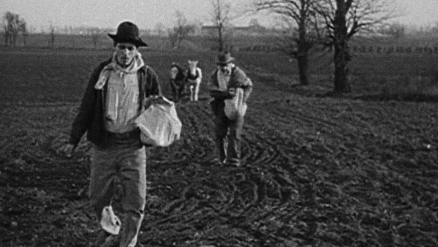 A Corner In Wheat Full Movie Online Free