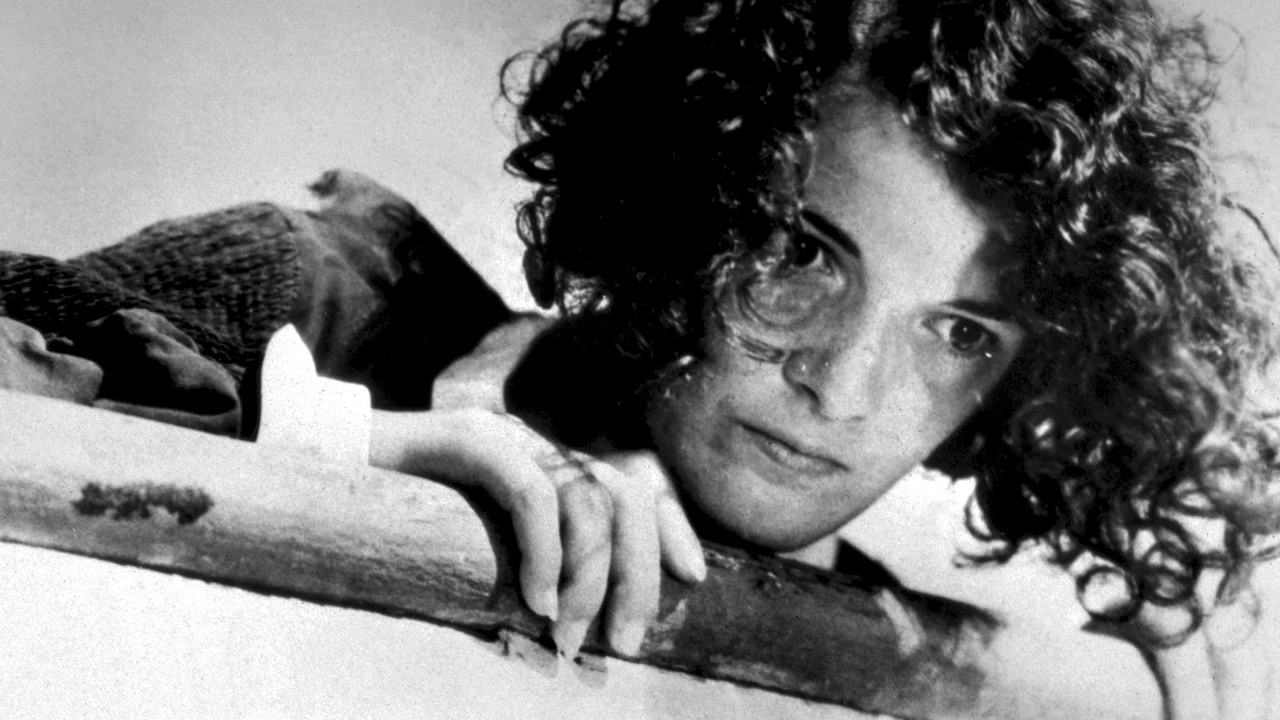 Essential Brazilian Films Movies List on MUBI