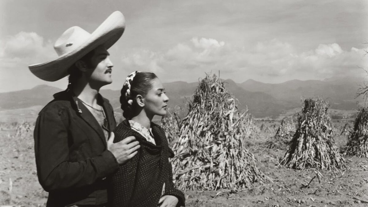 mexicano movies mexicano movies
