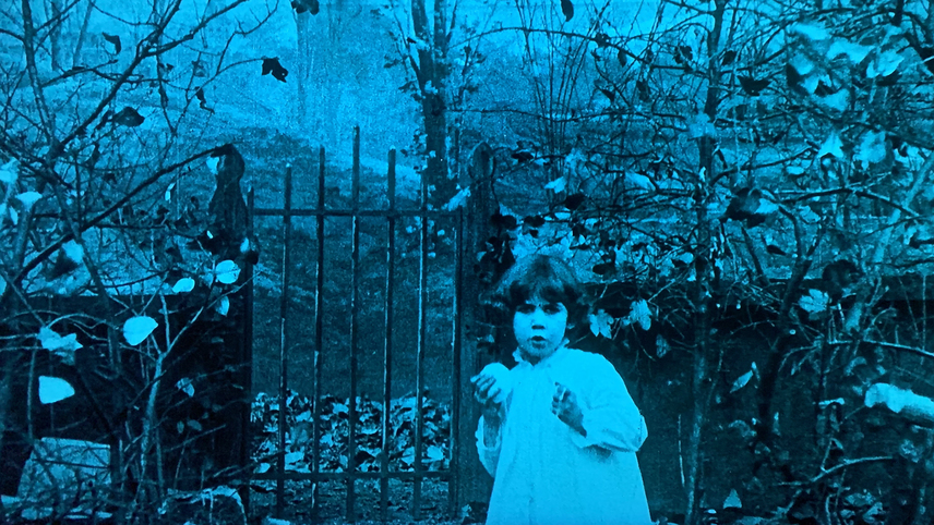 Fallen Leaves Film | the cabbage fairy 1896 mubi Fallen Leaves Film | the cabbage fairy 1896 mubi