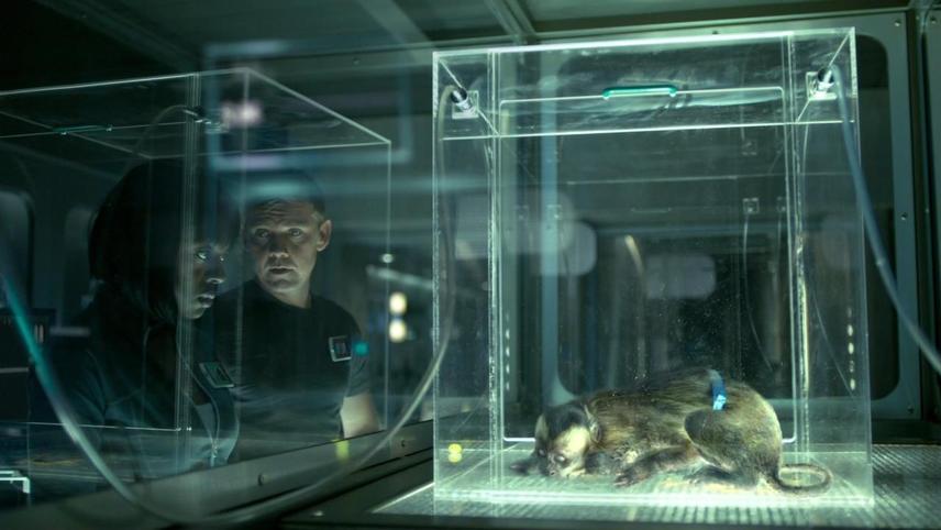 Andromeda Tödlicher Staub Aus Dem All 2008 Stream