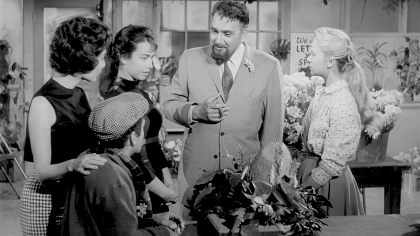 La Petite Boutique Des Horreurs 1960 La petite boutique des horreurs (1960) – MUBI