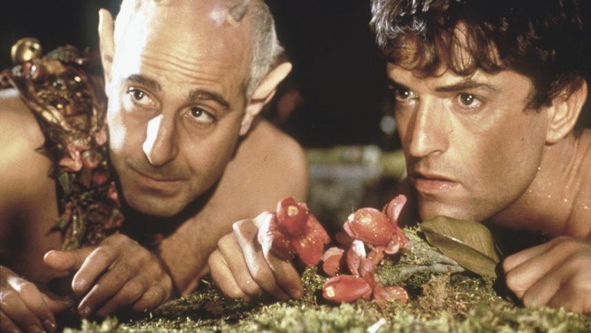 Watch A Midsummer Night`S Dream Online Full Movie