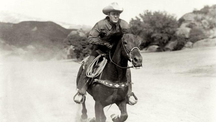 Dale Van Sickel Movies, Bio and Lists on MUBI