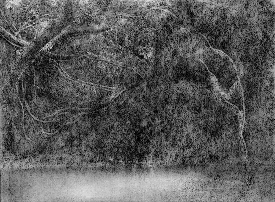 Heart of Darkness