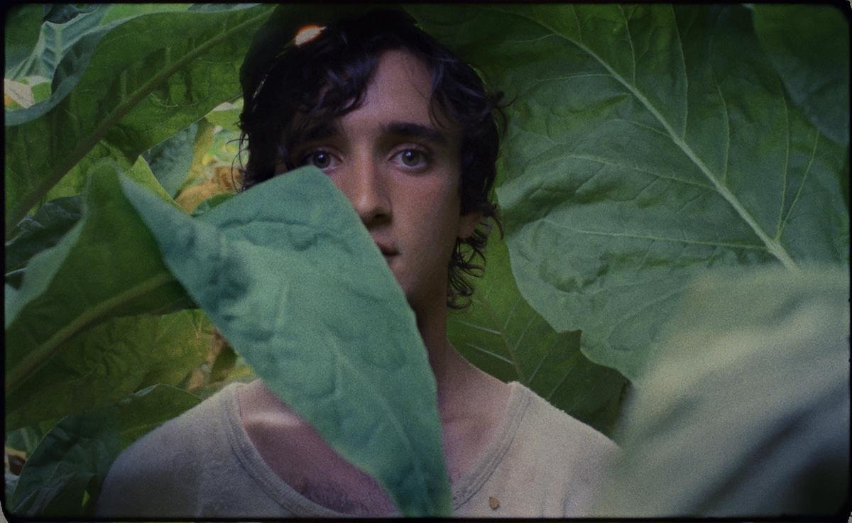 Happy as Lazzaro