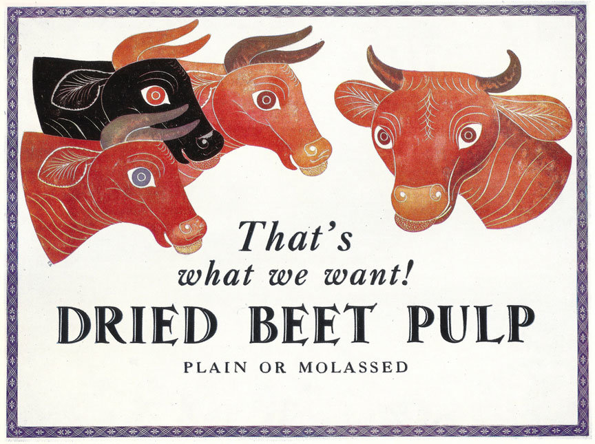 Dried Beet Pulp